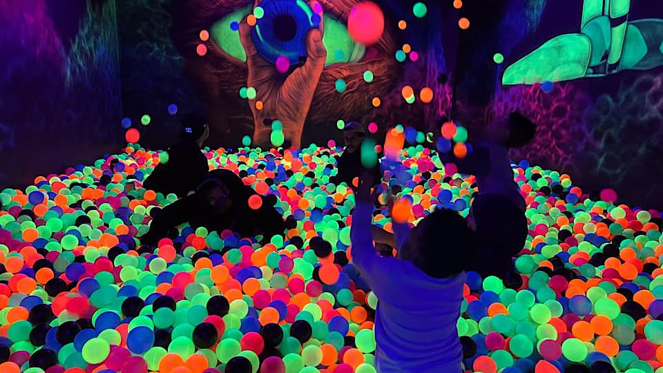 Are you ready for an experience that shakes your Senses!